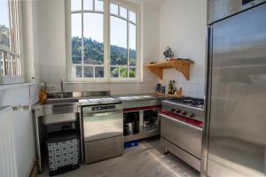 una cocina con electrodomésticos de acero inoxidable y una ventana en La Demeure du Tabellion en Le Mont-Dore