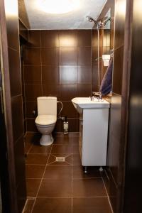 a bathroom with a toilet and a sink at СТАРАТА КЪЩА in Sovolyano