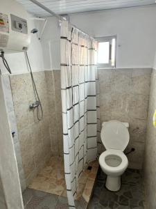 uma casa de banho com um WC e um chuveiro em APART PELUSA em Fray Bentos