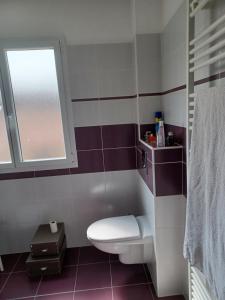 a bathroom with a toilet and a window at Entre Loire et canal in Briare