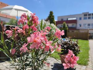une brousse de fleurs roses avec un parapluie dans l'établissement Appartement Ferienhaus Sonnenhain, à Sollenau
