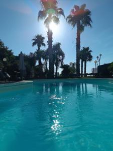 a large swimming pool with palm trees in the background at Borgo Barone in Mascali