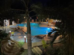 - une piscine avec un palmier la nuit dans l'établissement Bregman Residence, 