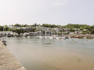 a view of a harbor with boats in the water at Whistle Stop Apartment in Porthmadog
