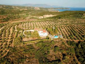 an aerial view of a house on a hill with a vineyard at Charly Point Villa in Methoni