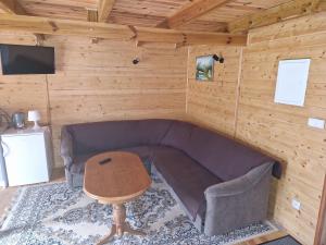 TV a/nebo společenská místnost v ubytování Agroturystyka Skoszewo