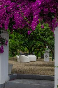 dos bancos blancos bajo un árbol con flores púrpuras en Agriturismo Giorgio en Mattinata