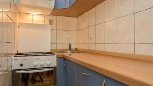 Η κουζίνα ή μικρή κουζίνα στο Apartment Branko +97 φωτογραφίες