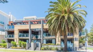 a palm tree in front of a building at 4-4 The Esplanade, Cowes - Cscape in Cowes