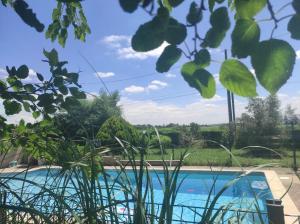 Blick auf den Pool von hinter einigen Pflanzen in der Unterkunft L'Escale Lauragaise in Villefranche-de-Lauragais