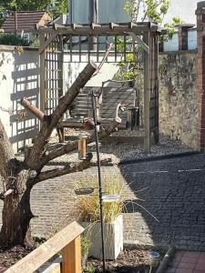 a bird sitting on a tree next to a bench at Charming 2 double bed cottage style house in Bristol