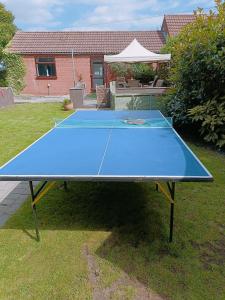 a blue ping pong table in a yard at The White Dove Bed and Breakfast with Glamping Newark showground in Newark upon Trent