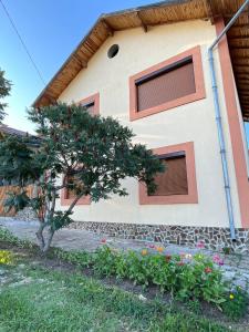 ein Haus mit zwei Fenstern und einem Baum davor in der Unterkunft Къща за гости "Холидей - Луковит" in Lukovit