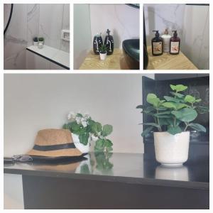 a collage of four pictures of a table with a plant at תמר על הים in Bat Yam