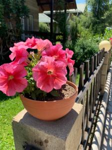 a pot of pink flowers sitting on a fence at Коттедж Иссык-Куль солнышко VIP 2 in Chok-Tal