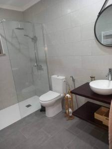 a bathroom with a shower and a toilet and a sink at Casa Vale Nicolau in Arganil