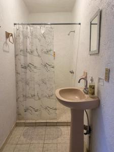 a bathroom with a sink and a shower at Hotel del Callejón in Zihuatanejo
