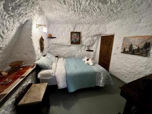 a bedroom with a bed with a cat sitting on it at Cuevas La Veranda in Orce