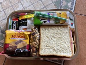 a lunch box with a sandwich and other foods at Hotel Tierra del Sur in Temuco