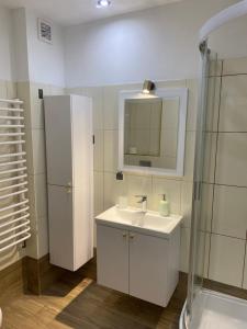 y baño con lavabo, espejo y ducha. en Noclegi w Centrum Brodnicy en Brodnica