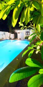 a large blue swimming pool with green leaves at Calm Villa Wadduwa in Wadduwa