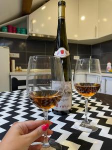 zwei Gläser Wein auf dem Tisch mit einer Flasche Wein in der Unterkunft Paradise in Brčko