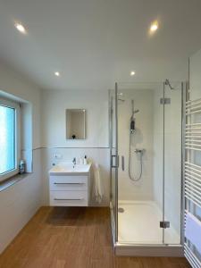 ein Bad mit einer Glasdusche und einem Waschbecken in der Unterkunft Kernsaniertes Monteurhaus mit 2 Apartments in Wirges in Wirges