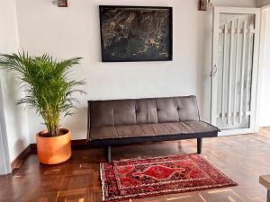 um sofá de couro castanho numa sala de estar com uma planta em Sereni Laureles Hotel Cafe em Medellín
