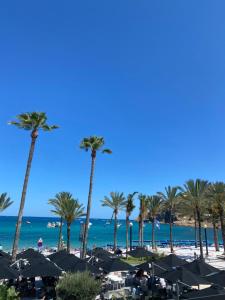 a view of the beach with palm trees and umbrellas at Sunylife in Albir