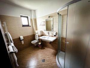 uma casa de banho com um lavatório, um WC e um chuveiro em Pensiunea Cristal em Racoviţa