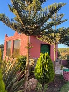 uma casa com uma palmeira em frente em Lovely holiday Private villa with nature view +pool em Larache