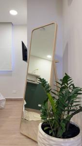 un espejo y una maceta en una habitación en Isthmus Concept Apartment en Panamá