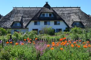 a house with a thatched roof and a field of flowers at Hotel Haferland in Wieck