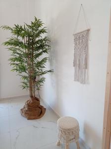 a plant in a room with a stool and a wall at Maistrali in Provatas