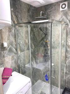 La salle de bains est pourvue d'une douche avec une porte en verre. dans l'établissement Stan Na Dan / Stan Na Izdavanje, à Paraćin