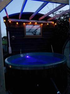 Het zwembad bij of vlak bij Cute and cosy Shepard hut with wood fuel hot tub