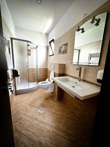 a bathroom with a sink and a shower and a toilet at Pensiunea Cristal in Racoviţa