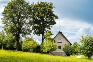 特爾希艾的住宿－Minavuonė，树上山顶的房子