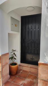 una planta en una olla delante de una puerta negra en La Damajuana, Casa Rural, en Montejaque