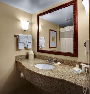 baño con lavabo y espejo grande en Hilton Garden Inn Akron-Canton Airport, en North Canton