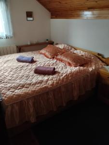 een bed met twee kussens in een slaapkamer bij VILA ANTONIJE in Šljivovica