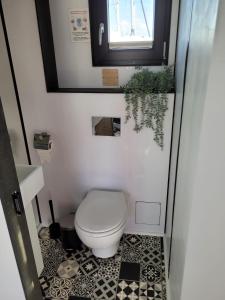 a small bathroom with a toilet and a window at Houseboat of Grimm in Fehmarn