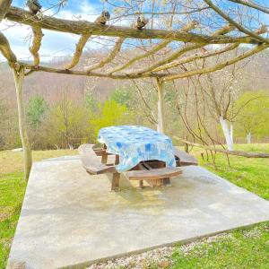 ein Picknicktisch und zwei Bänke in einem Park in der Unterkunft Vikend na Ozrenu in Bosansko Petrovo Selo