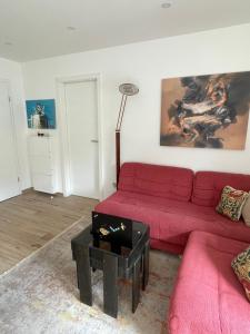 Część wypoczynkowa w obiekcie Apartment Andreja, Opatija city center