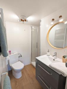 ein Badezimmer mit einem WC, einem Waschbecken und einem Spiegel in der Unterkunft Le nid d'hirondelle in Gertwiller