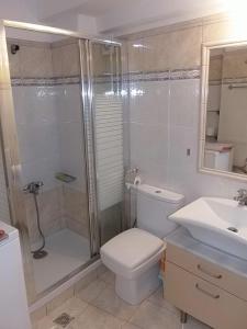 La salle de bains est pourvue d'une douche, de toilettes et d'un lavabo. dans l'établissement Katerina sitia apartments 1, à Siteía
