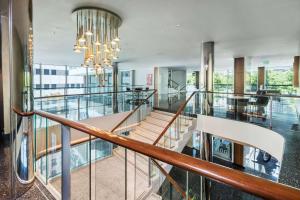 The Statler Dallas, Curio Collection By Hilton内部或周边的泳池