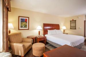 a hotel room with a bed and a chair at Hilton Garden Inn El Paso University in El Paso