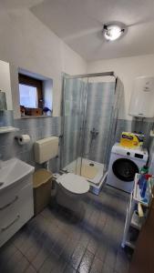 a bathroom with a shower and a toilet and a sink at Planinska kuća Rezo Rakitno in Posušje