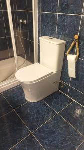 um WC branco numa casa de banho com chuveiro em Tropical Suite em Benalmádena